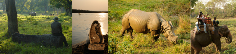 Click to enlarge image Chitwan_rhino_mix.jpg