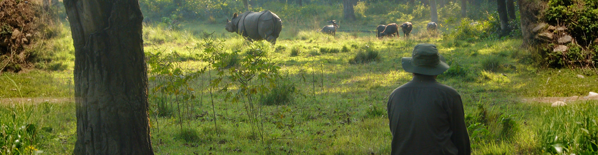 Click to enlarge image safari.jpg